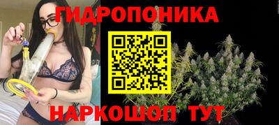 PSILOCYBIN Моздок