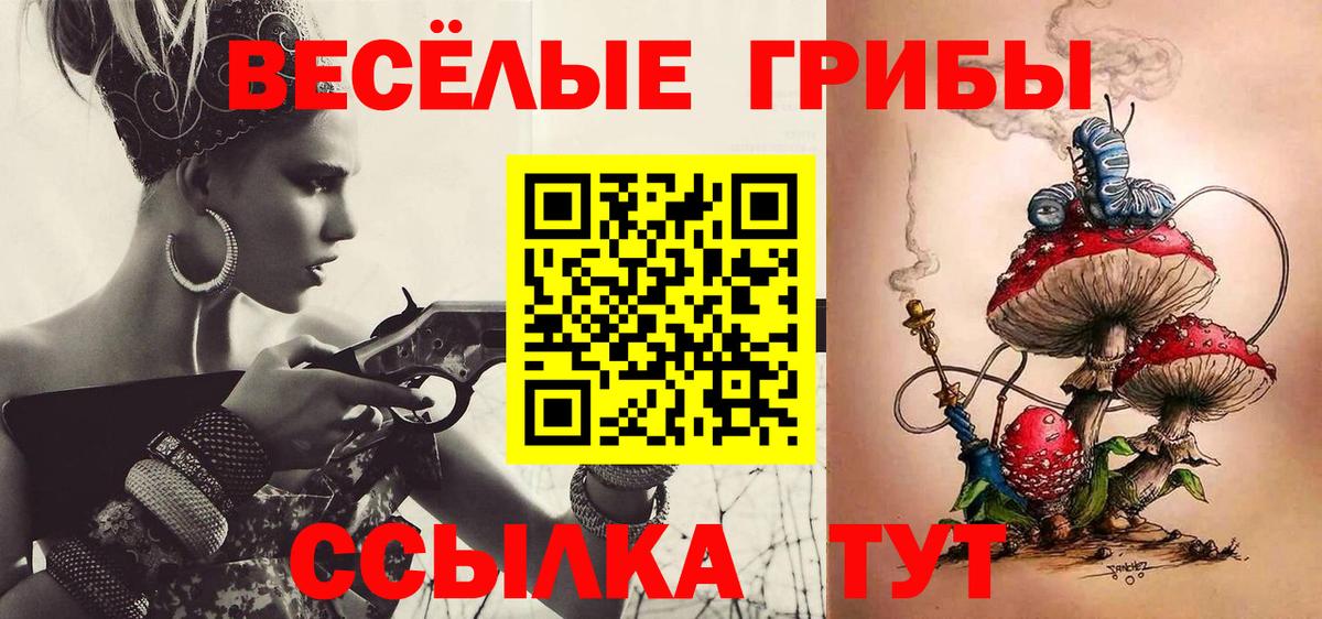 Калининград  даркнет сайт  Вход с VPN  Галлюциногенные грибы Psilocybe  Галлюциногенные грибы прущие грибы 