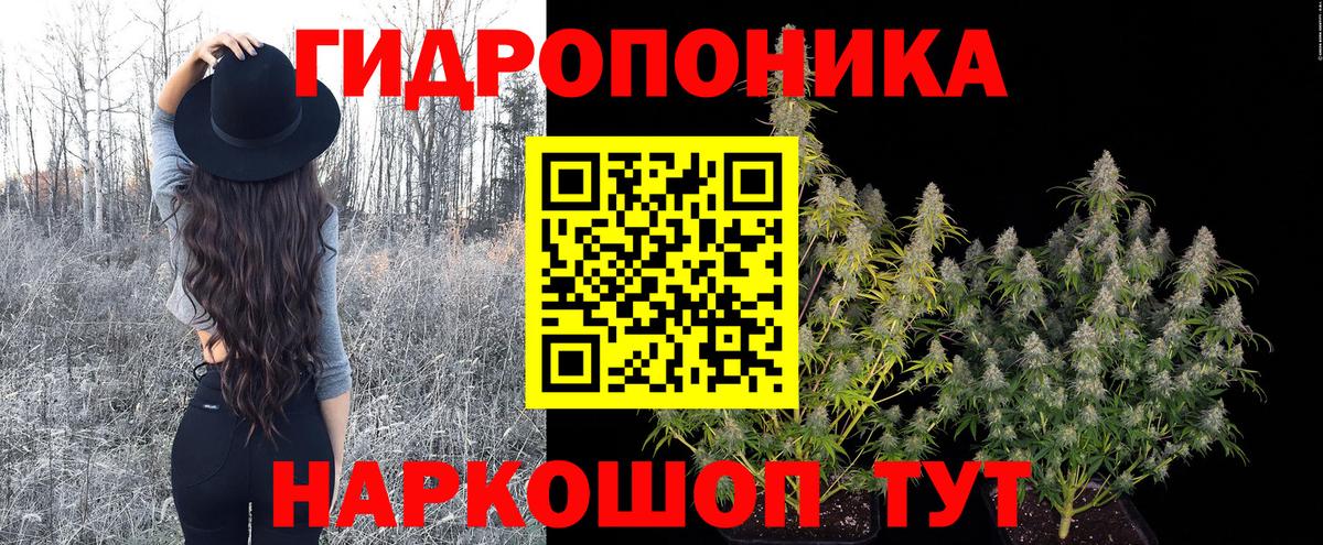 Калининград  Марихуана OG Kush  Шишки марихуана SATIVA & INDICA  Вход с VPN  Марихуана OG Kush 